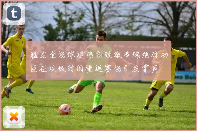 猛龙全场球迷热烈致敬洛瑞绝对功臣在垃圾时间重返赛场引发掌声