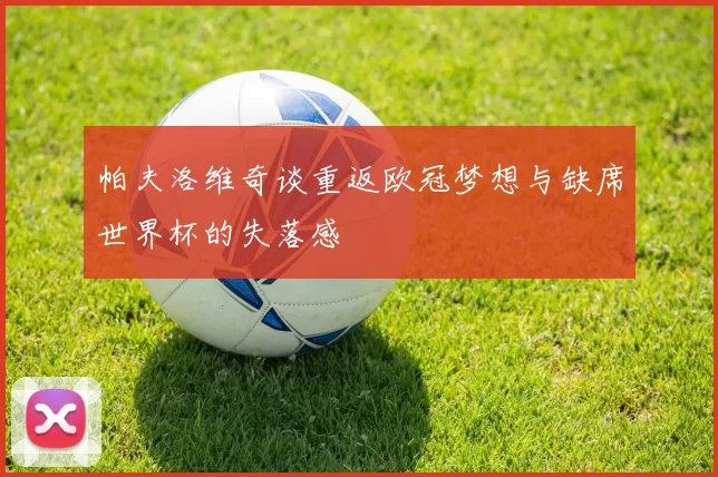 帕夫洛维奇谈重返欧冠梦想与缺席世界杯的失落感