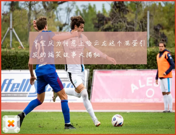 亨宝庆为何惹上哈云龙这个混蛋引发的搞笑故事大揭秘
